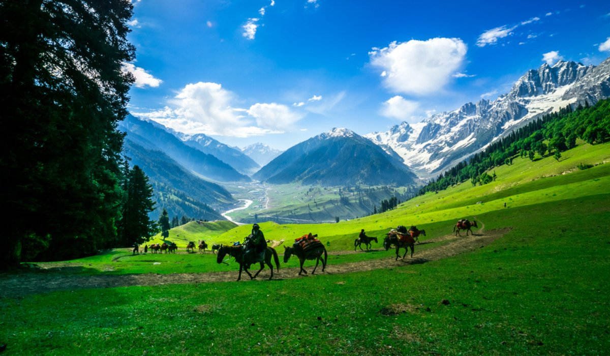 Best tour package of Kashmir